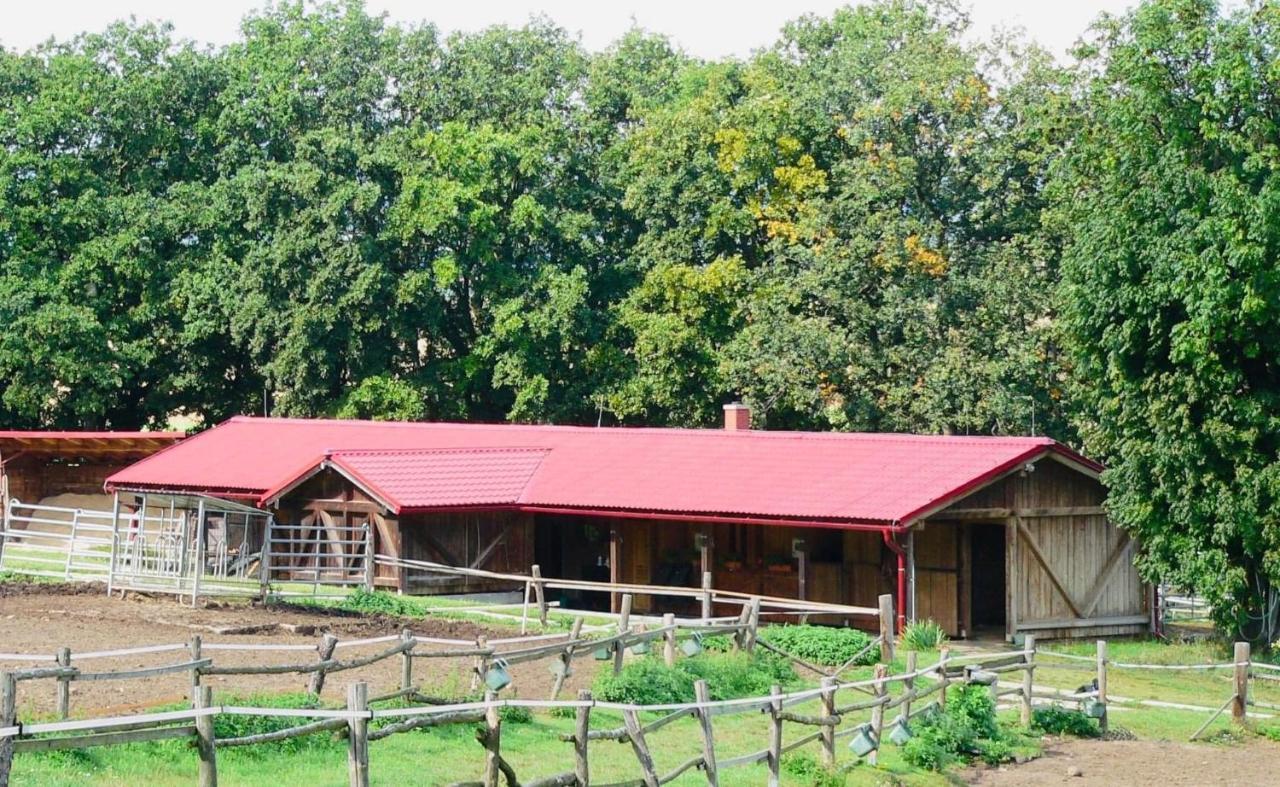 Ubytování na Ranči pod Lovošem Velemin Exterior foto